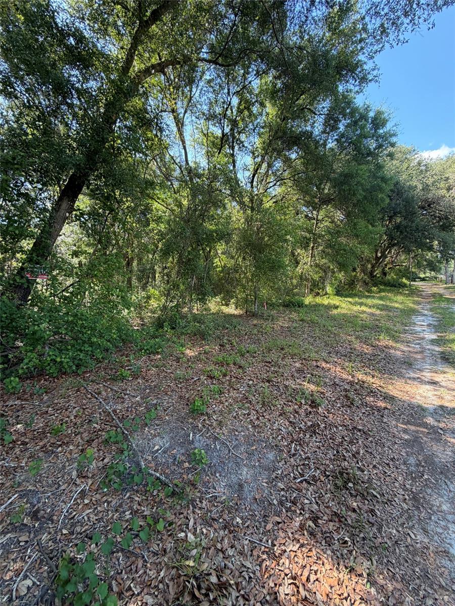 0 SW 146TH PL ##328, DUNNELLON, FL, 34432