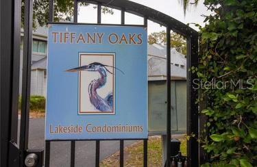 9726 TIFFANY OAKS LN #9726, TAMPA, FL, 33612