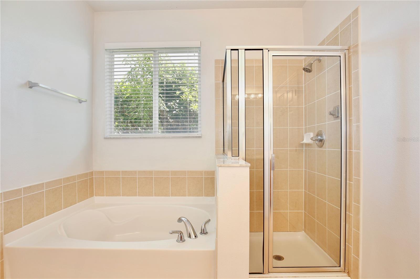 585 SETTING SUN DR, WINTER GARDEN, FL, 34787