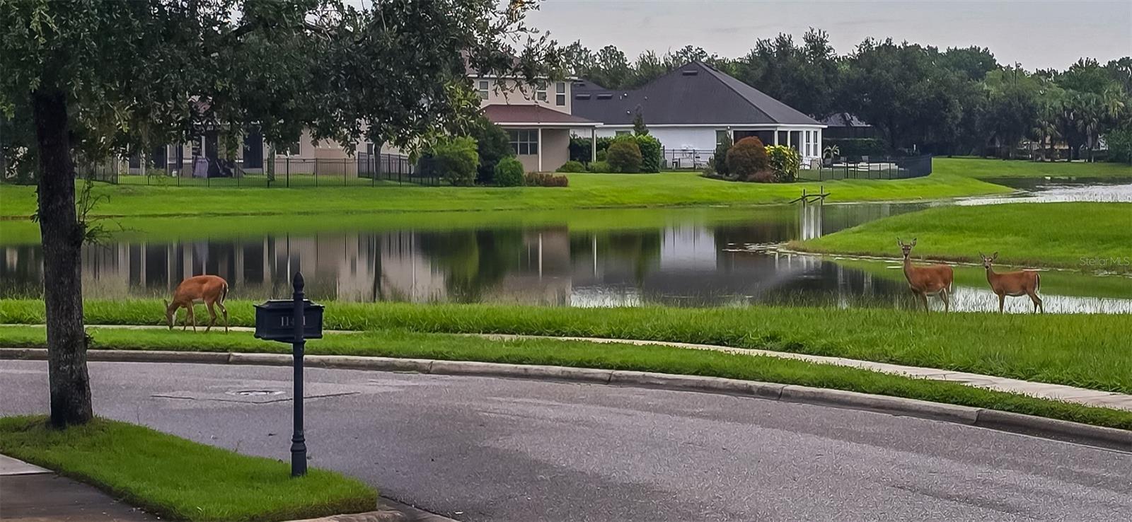 11437 WAKEWORTH ST, ORLANDO, FL, 32836