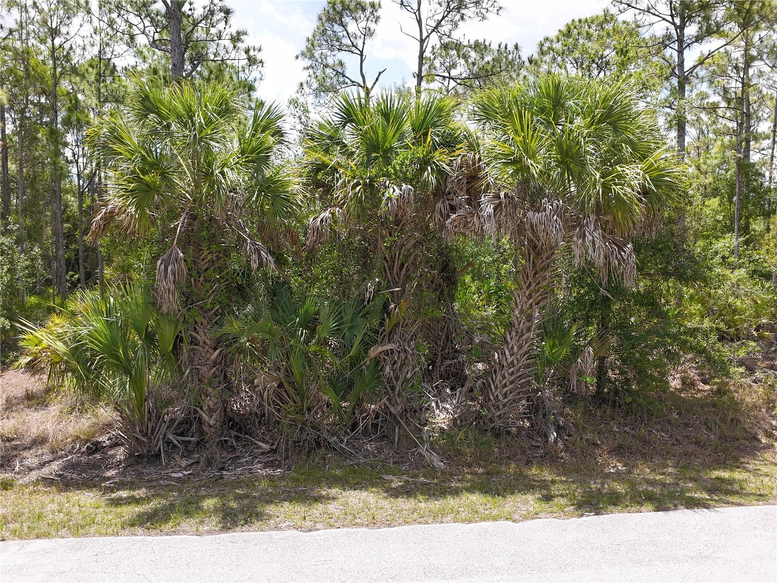 12226 RIPPLE DR, PUNTA GORDA, FL, 33955