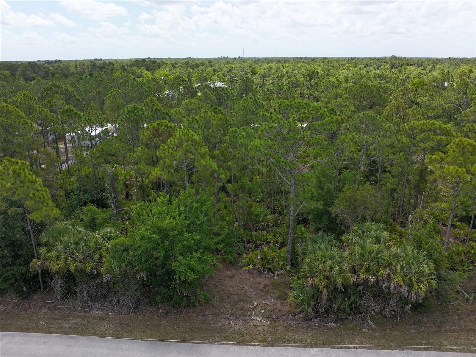 12226 RIPPLE DR, PUNTA GORDA, FL, 33955