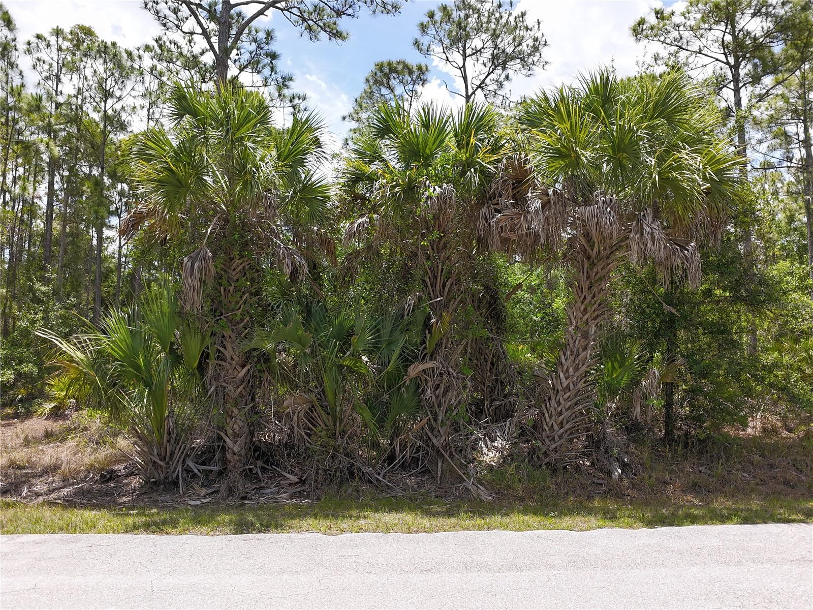12226 RIPPLE DR, PUNTA GORDA, FL, 33955