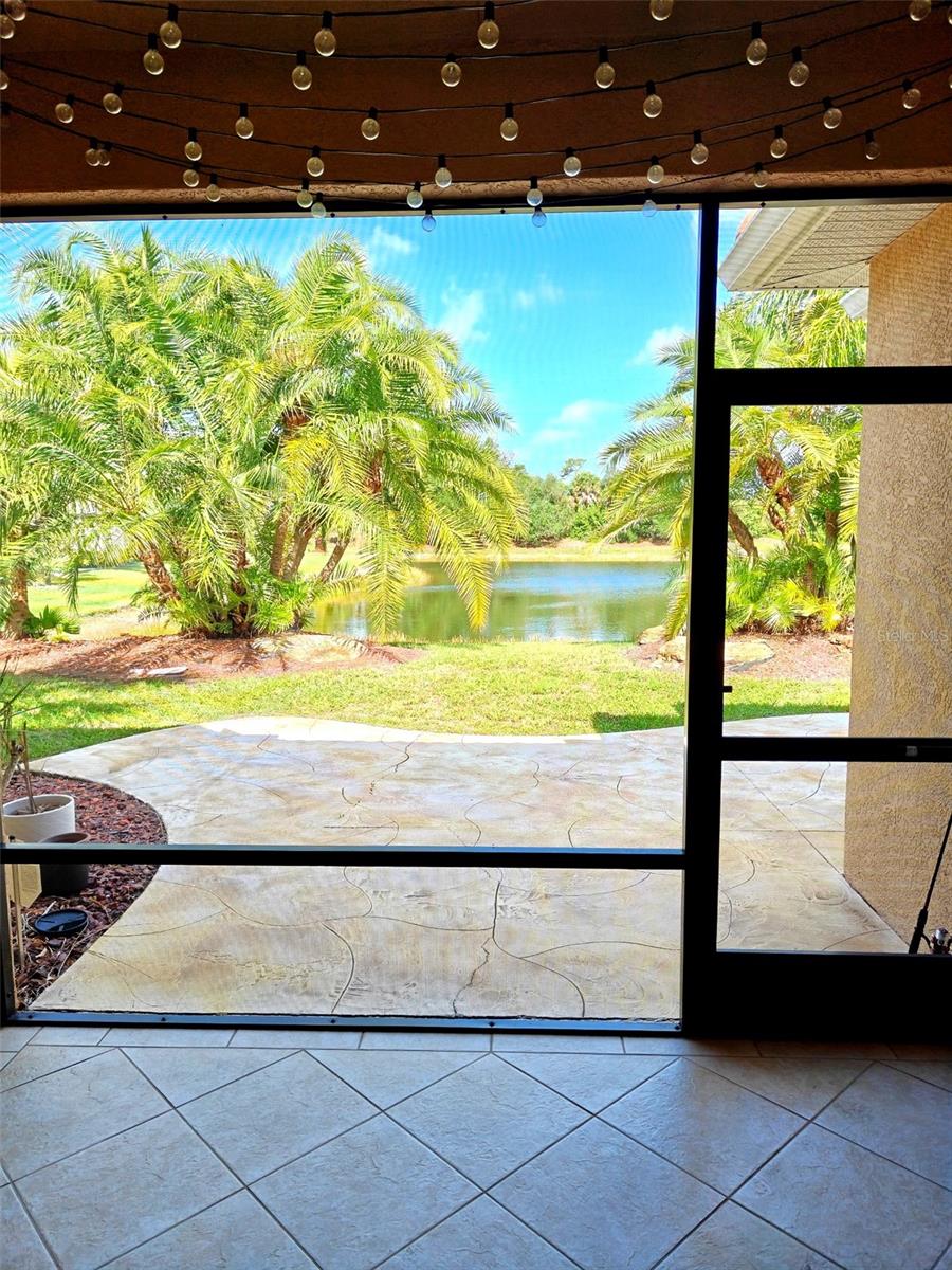 2344 CARAWAY DR, VENICE, FL, 34292