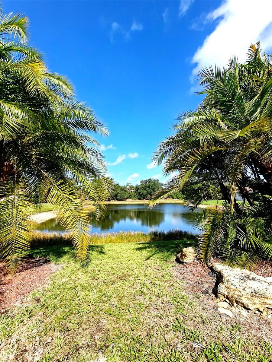 2344 CARAWAY DR, VENICE, FL, 34292