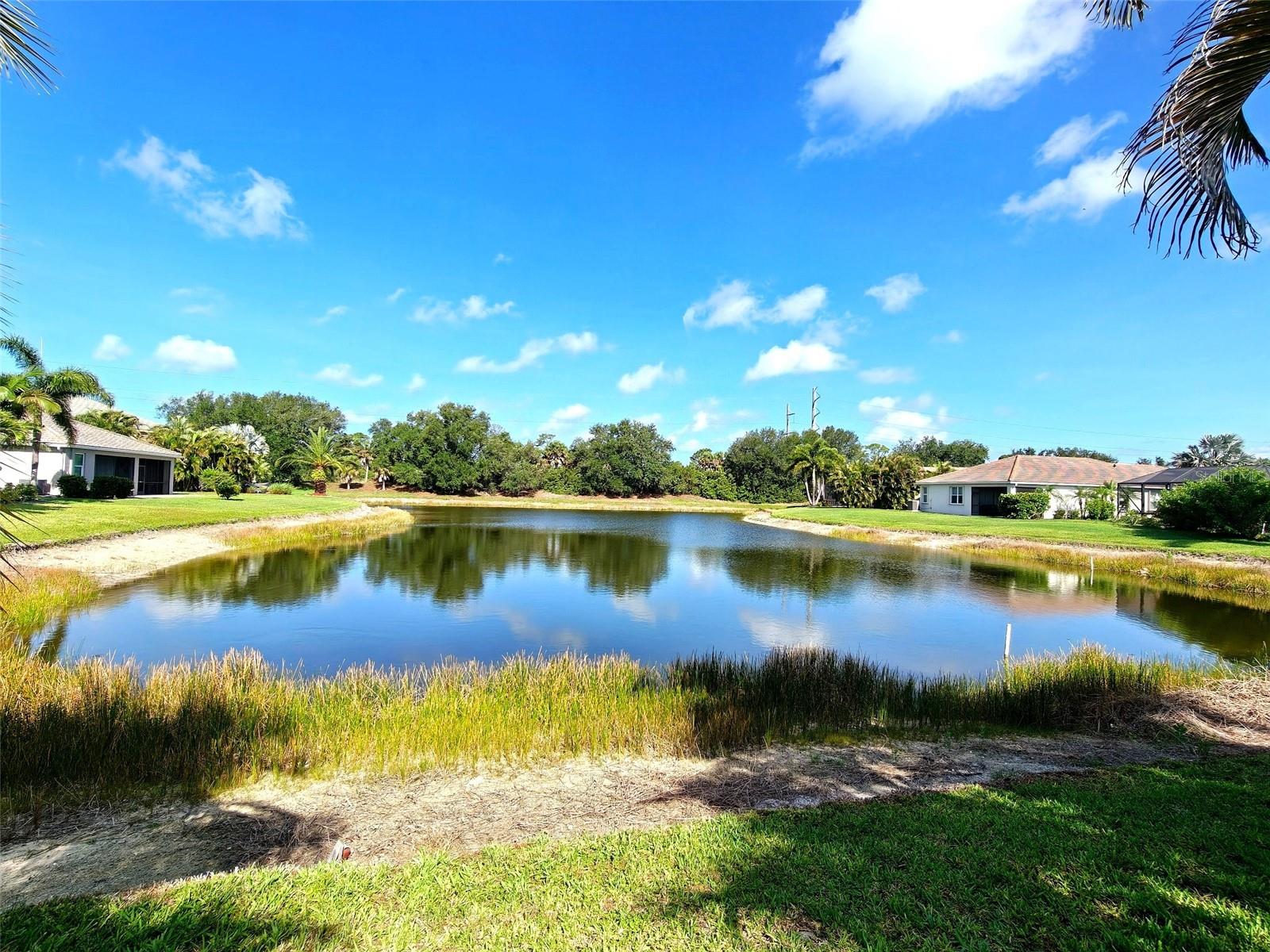 2344 CARAWAY DR, VENICE, FL, 34292