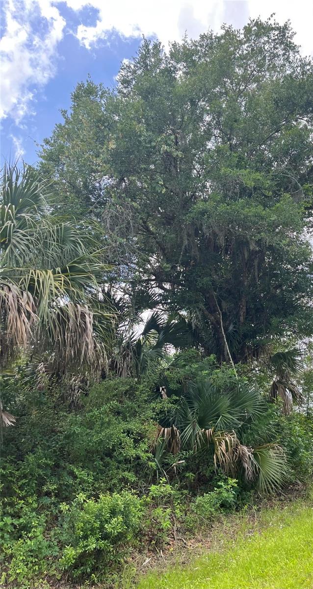 2942 BROWNWOOD CIR, SEBRING, FL, 33875