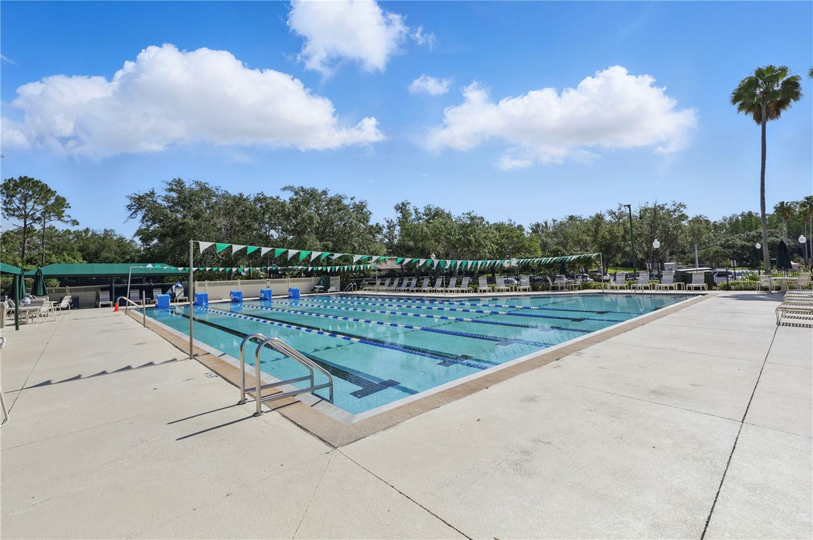 10232 ESTUARY DR, TAMPA, FL, 33647