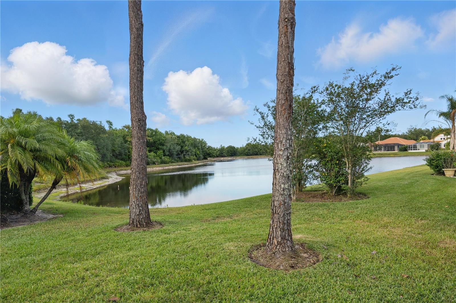 10232 ESTUARY DR, TAMPA, FL, 33647