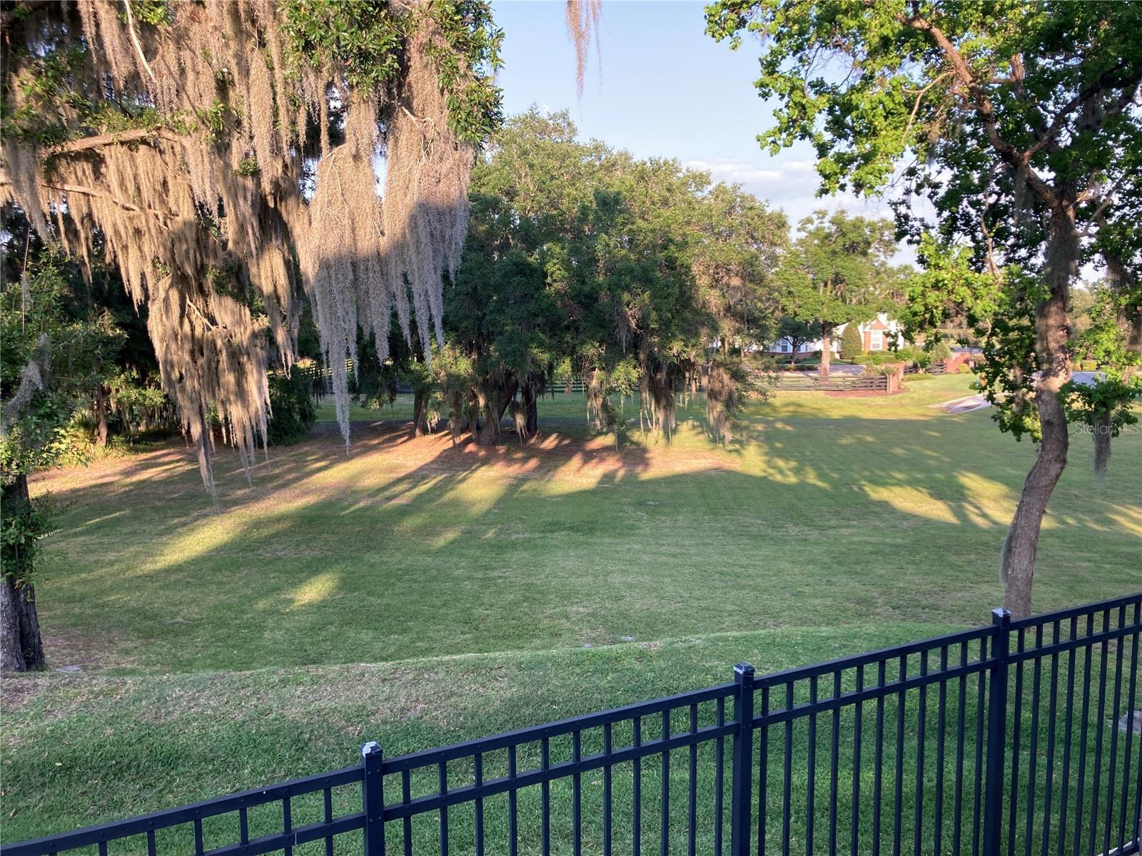 410 CANTERWOOD DR, MULBERRY, FL, 33860