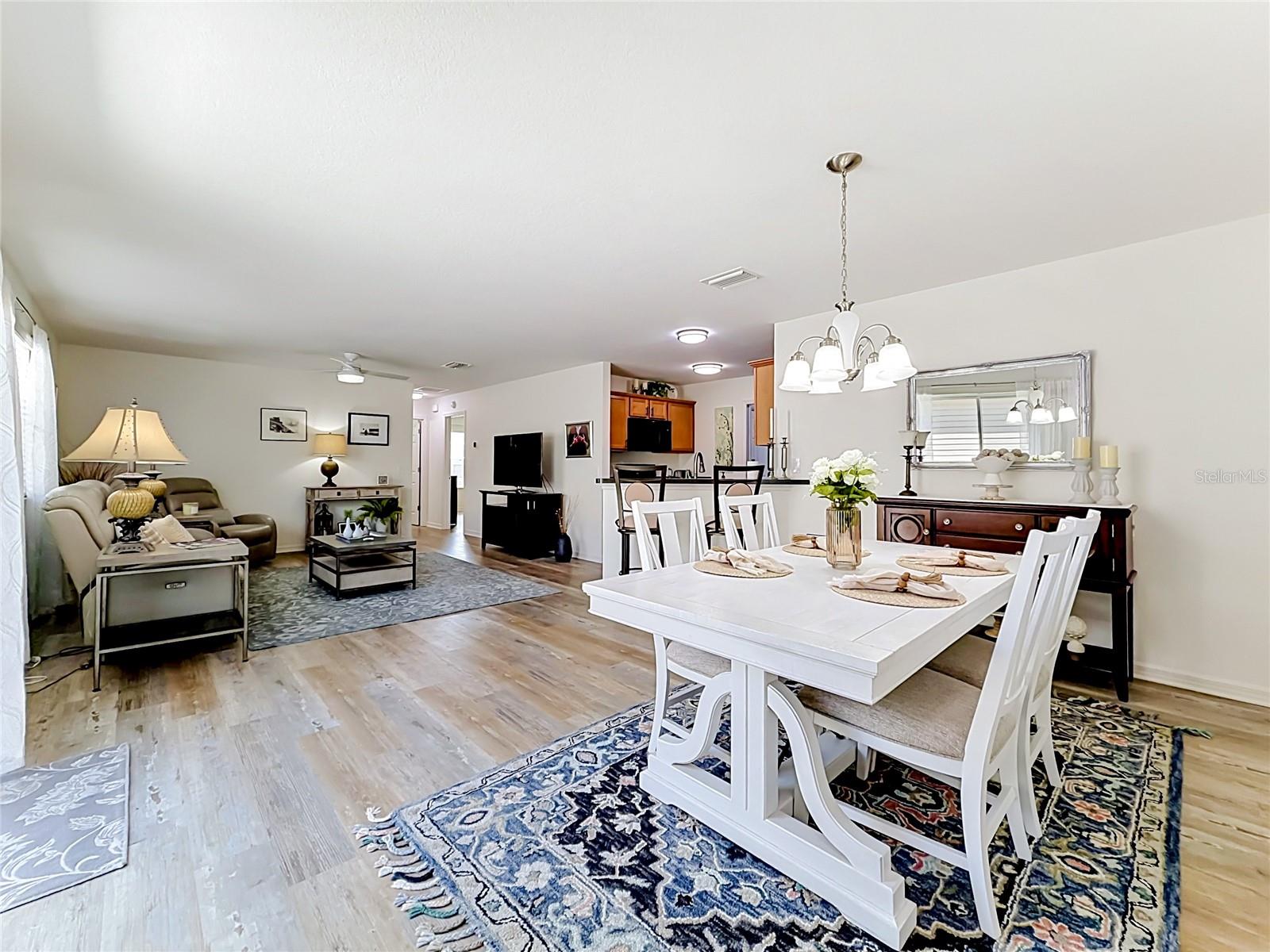 1430 OLYMPIA ST, THE VILLAGES, FL, 32163