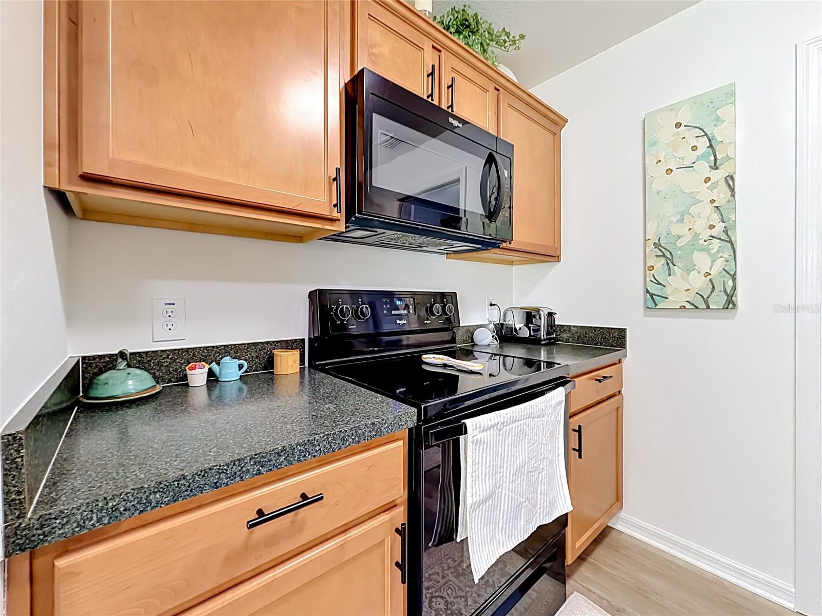 1430 OLYMPIA ST, THE VILLAGES, FL, 32163