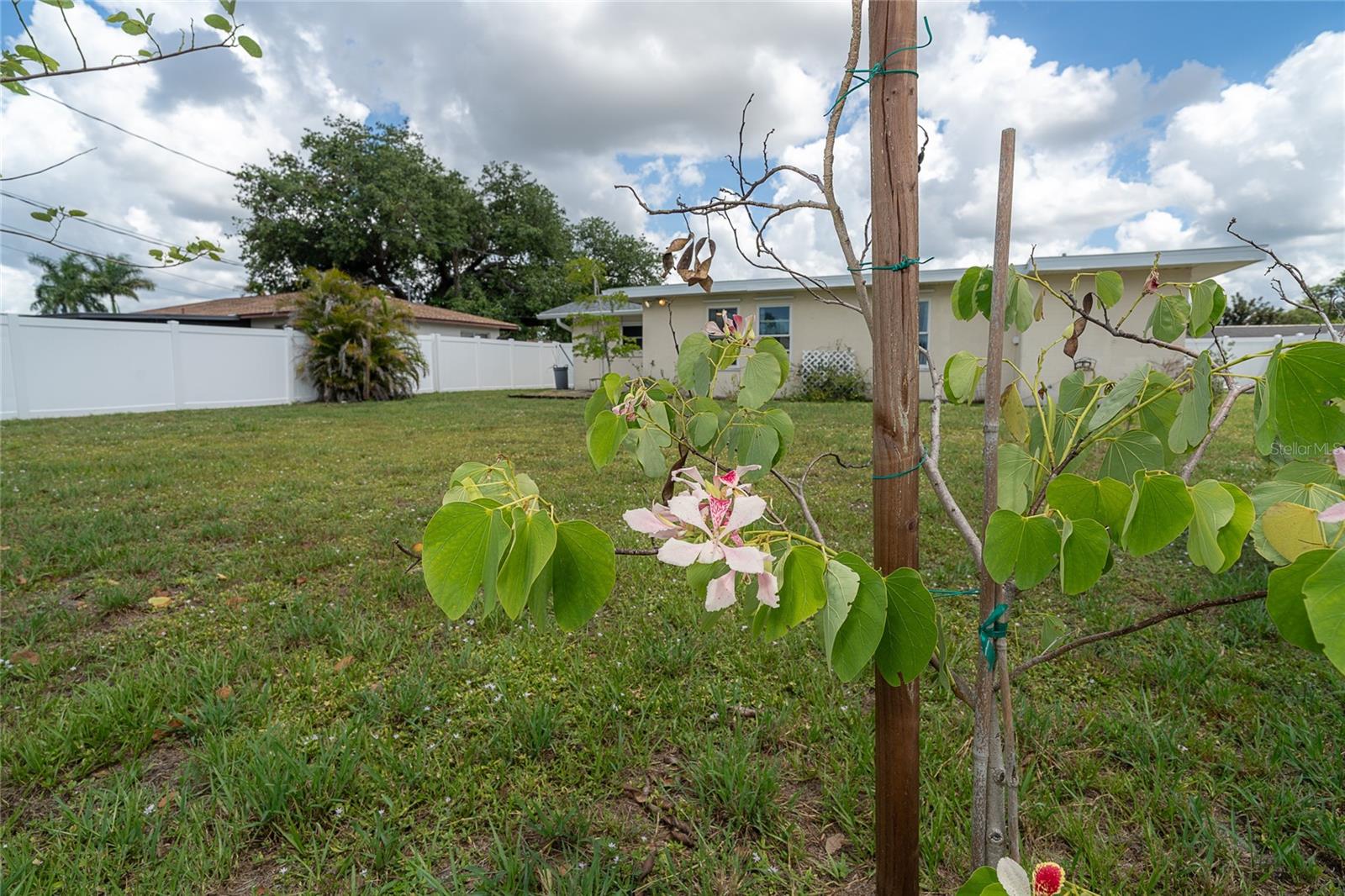 22129 ROCHESTER AVE, PORT CHARLOTTE, FL, 33952