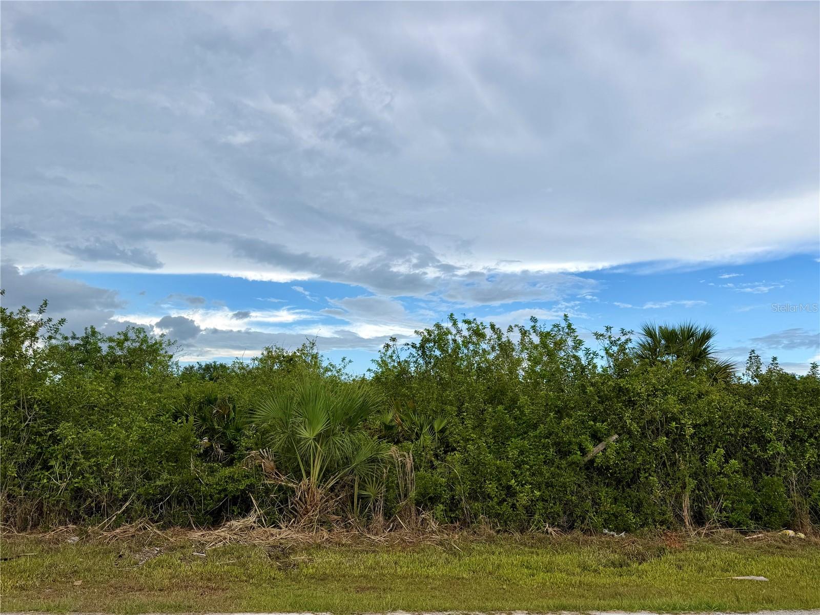 12384 OAKNER ST, PORT CHARLOTTE, FL, 33981