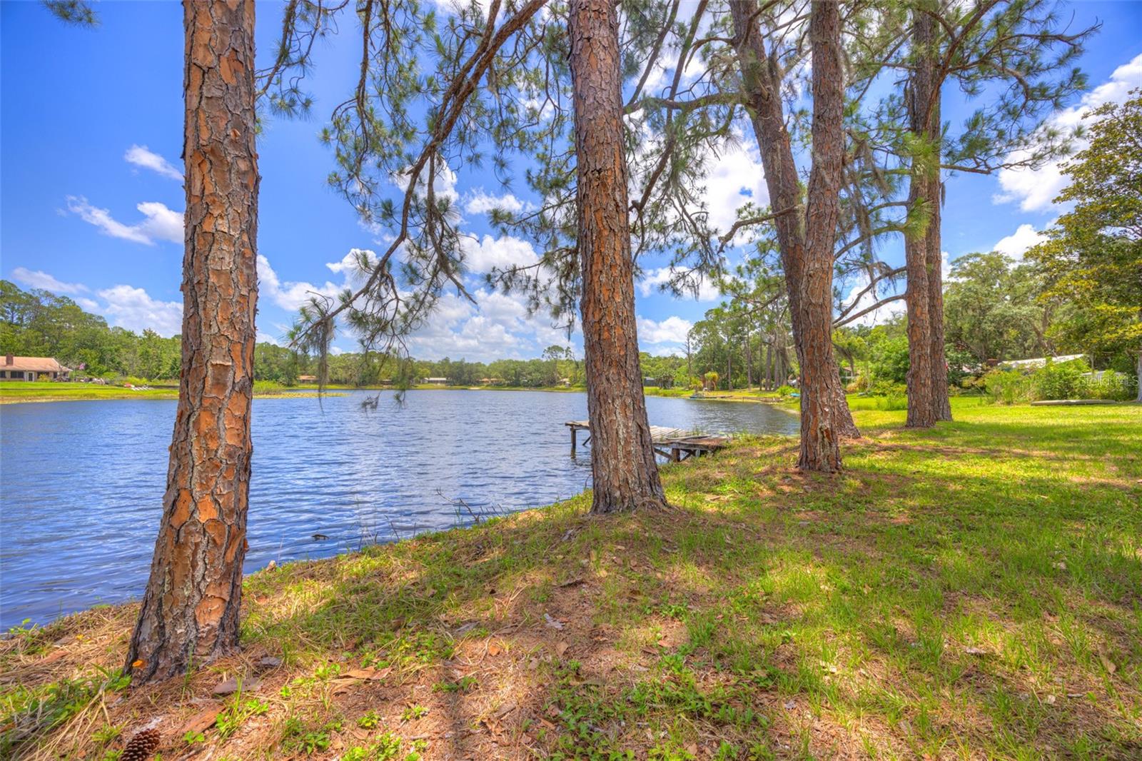 33 WILLOW LN, DELAND, FL, 32724