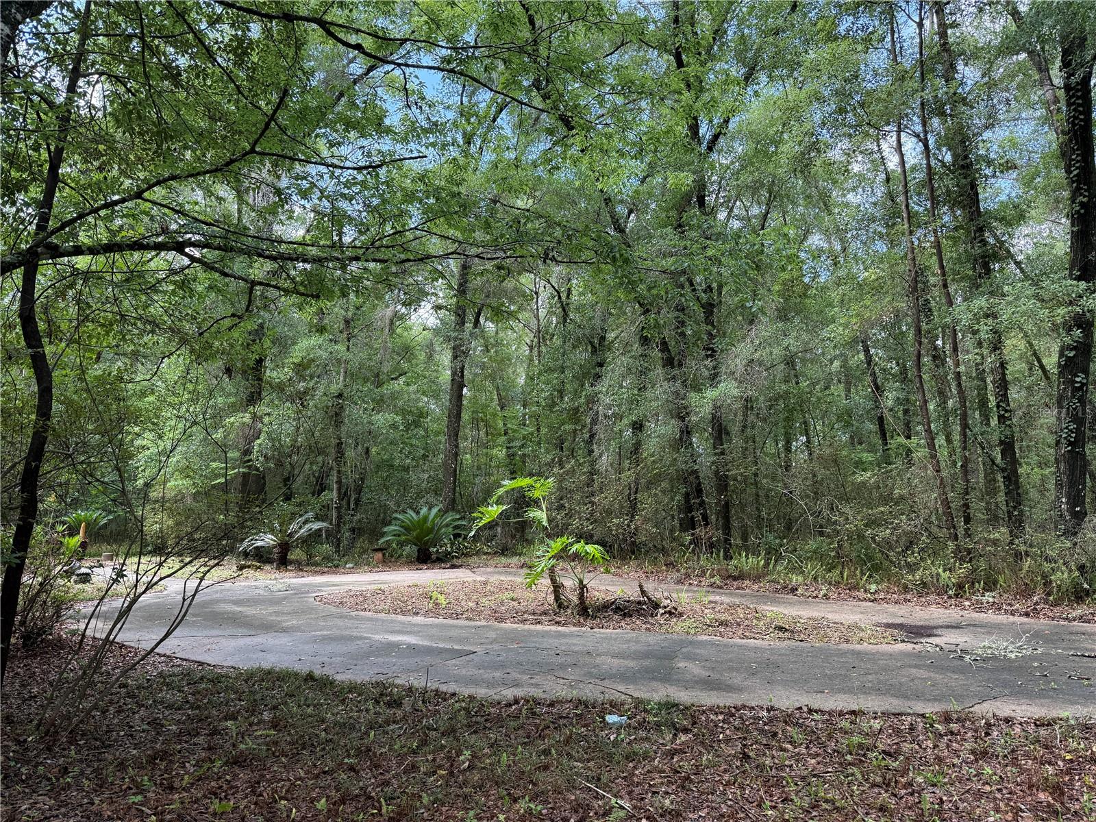 221 SW 138TH TER, NEWBERRY, FL, 32669