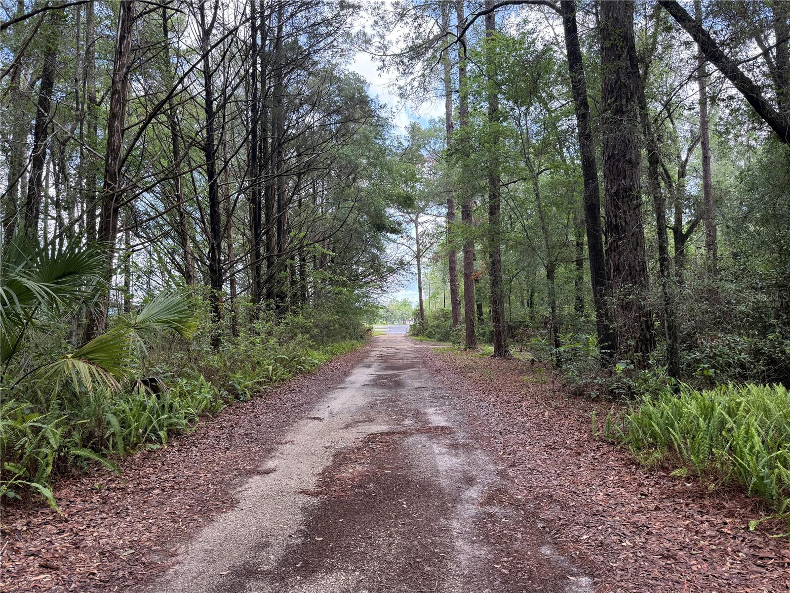 221 SW 138TH TER, NEWBERRY, FL, 32669