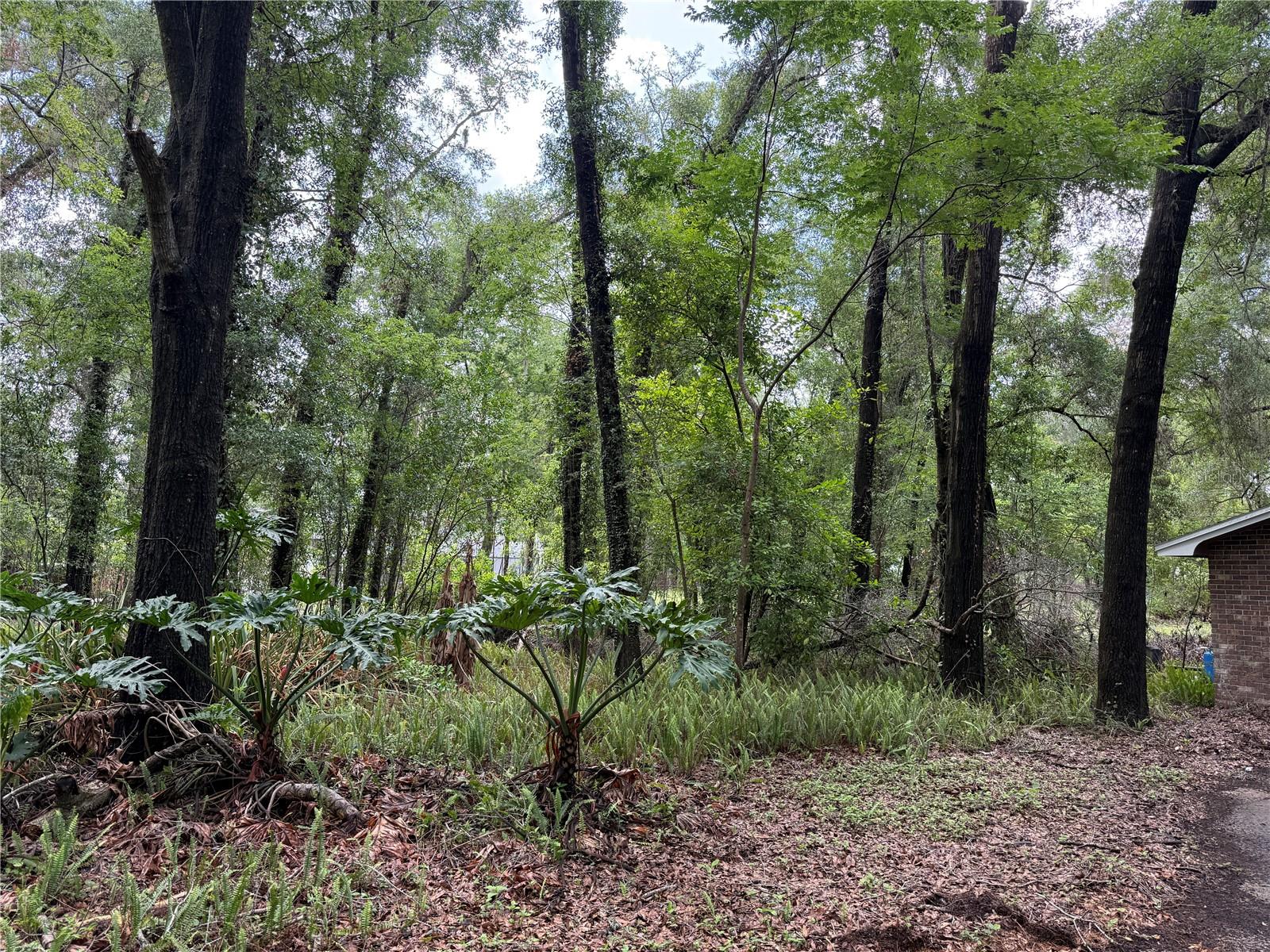 221 SW 138TH TER, NEWBERRY, FL, 32669