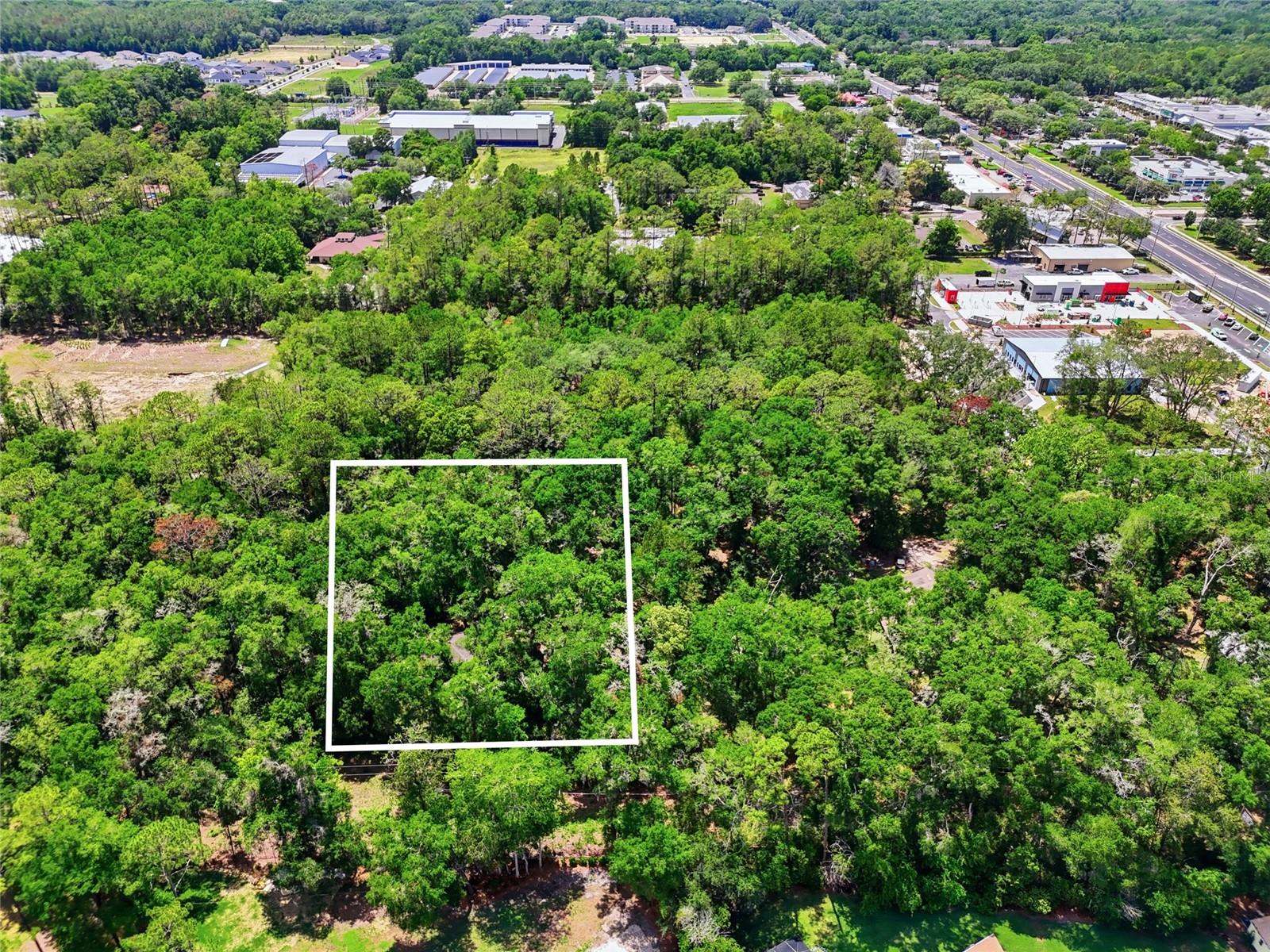 221 SW 138TH TER, NEWBERRY, FL, 32669