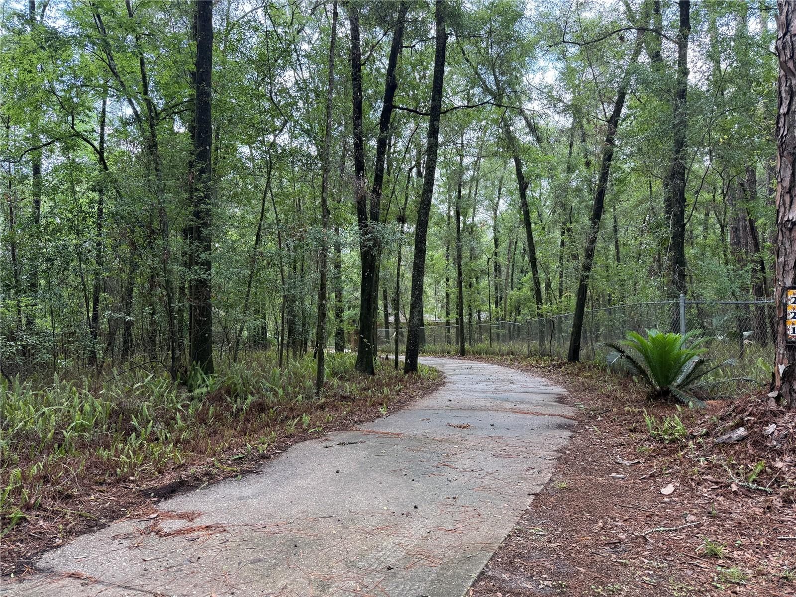 221 SW 138TH TER, NEWBERRY, FL, 32669