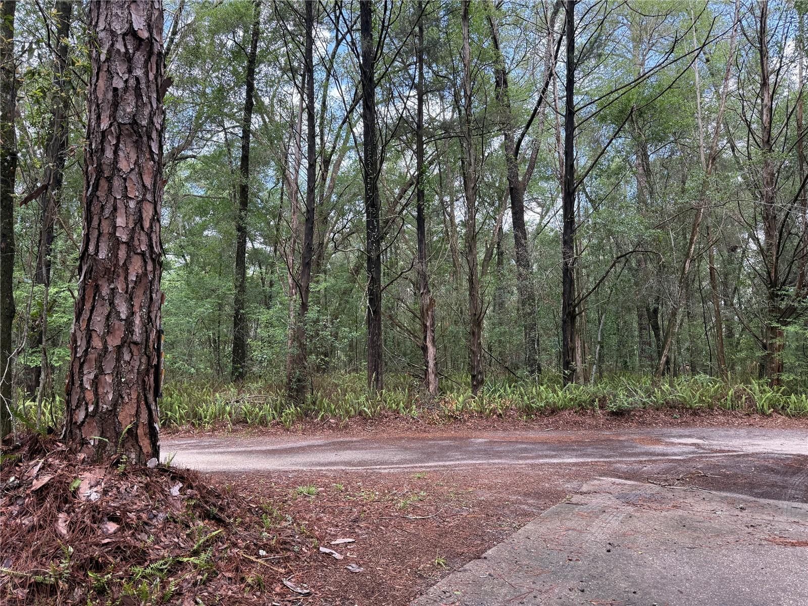221 SW 138TH TER, NEWBERRY, FL, 32669