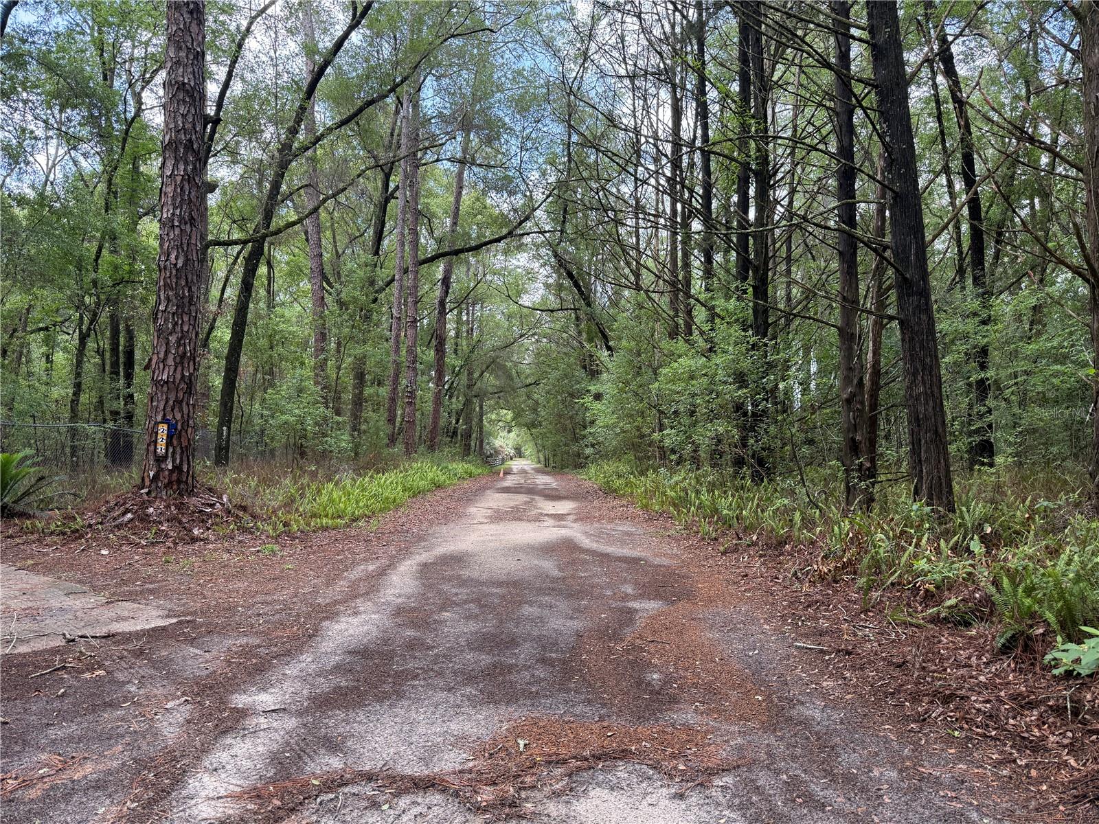 221 SW 138TH TER, NEWBERRY, FL, 32669