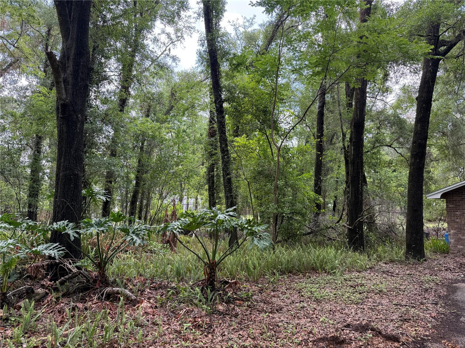 221 SW 138TH TER, NEWBERRY, FL, 32669