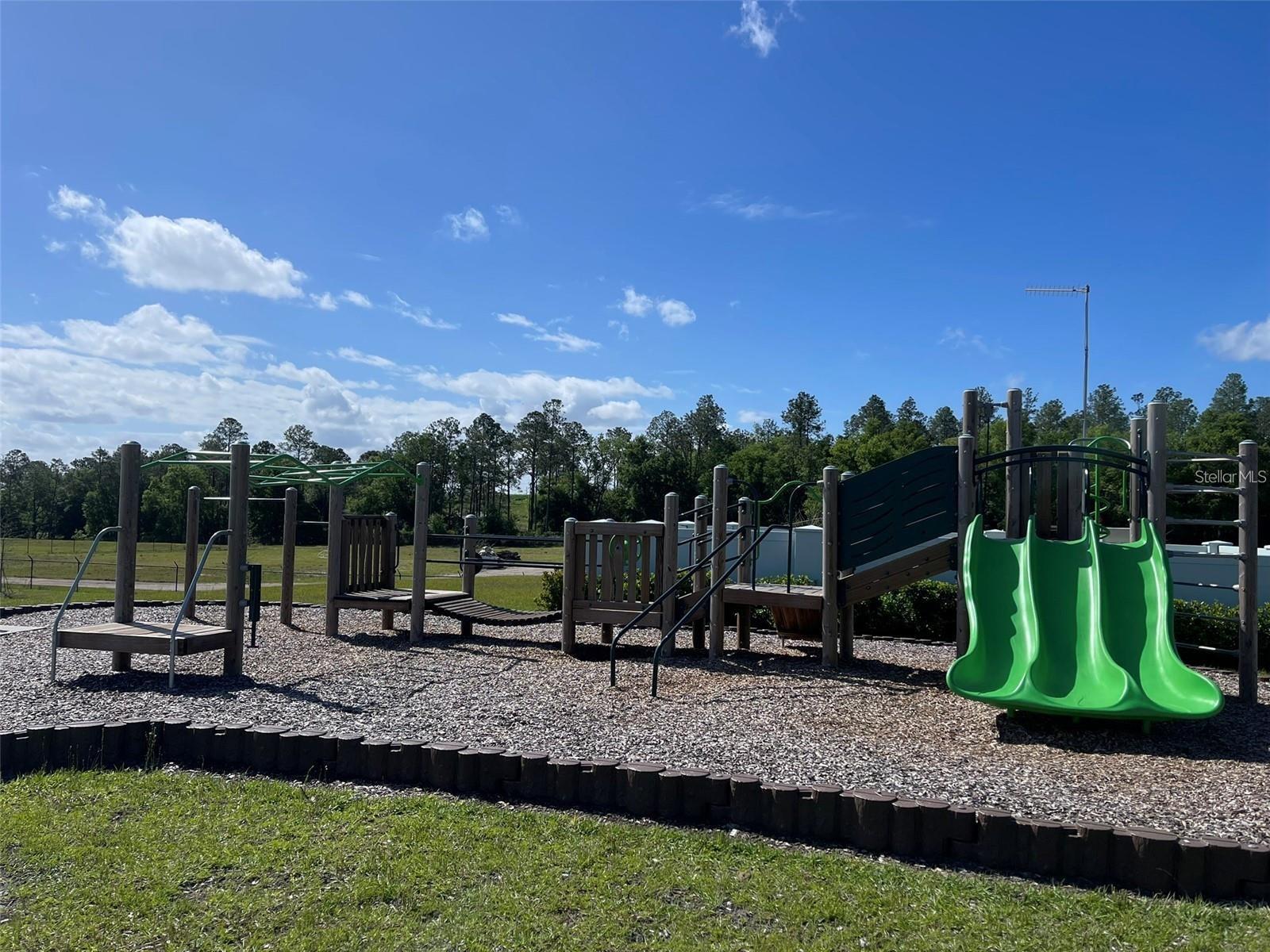 3107 GARDENIA RESERVE ST, APOPKA, FL, 32712