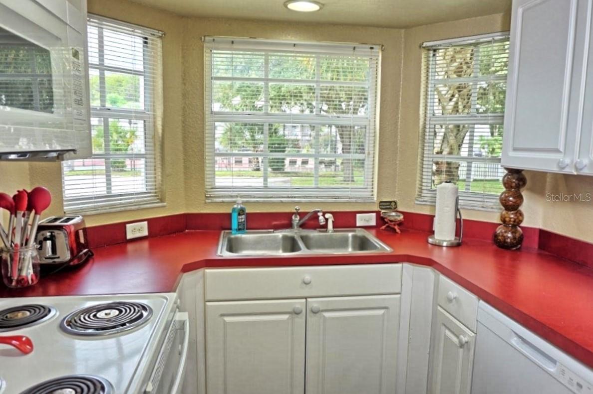 2077 WETLAND PT #1103, LUTZ, FL, 33558