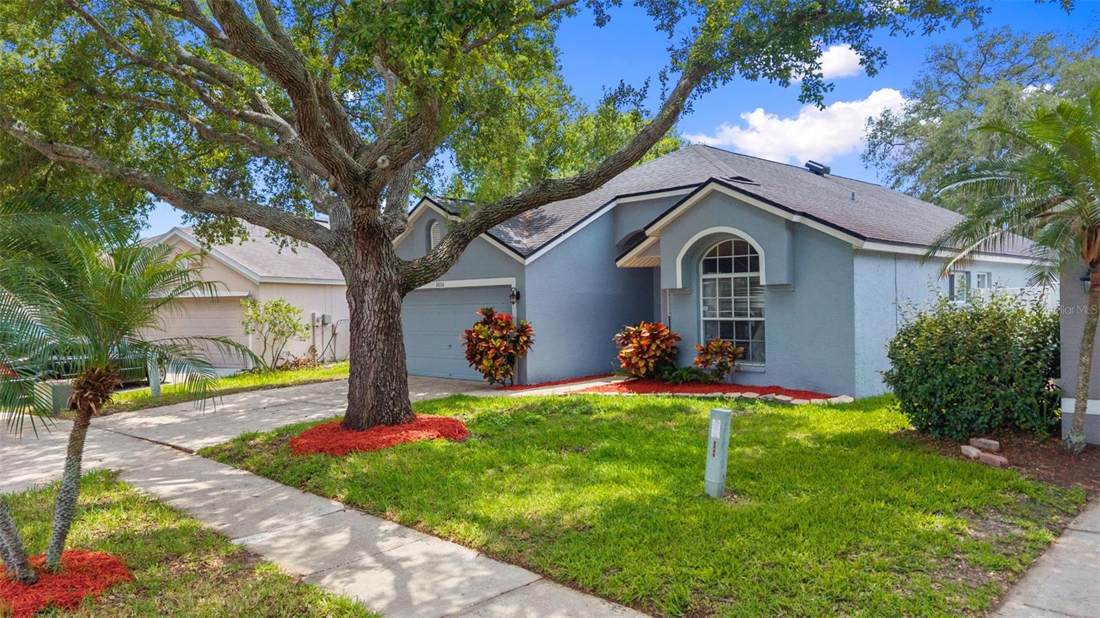 8606 FAWN CREEK DR, TAMPA, FL, 33626