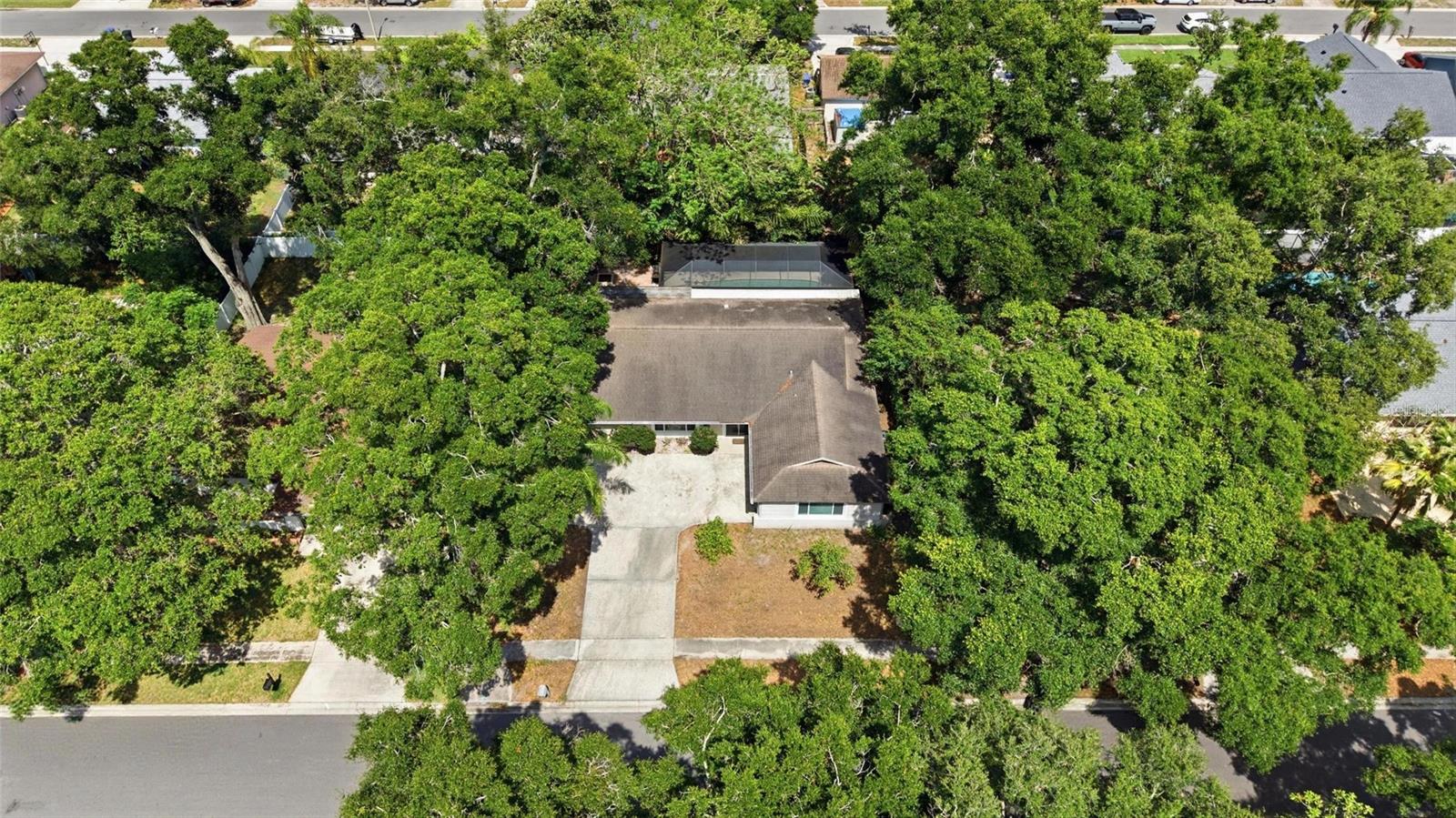 2447 GROVE RIDGE DR, PALM HARBOR, FL, 34683