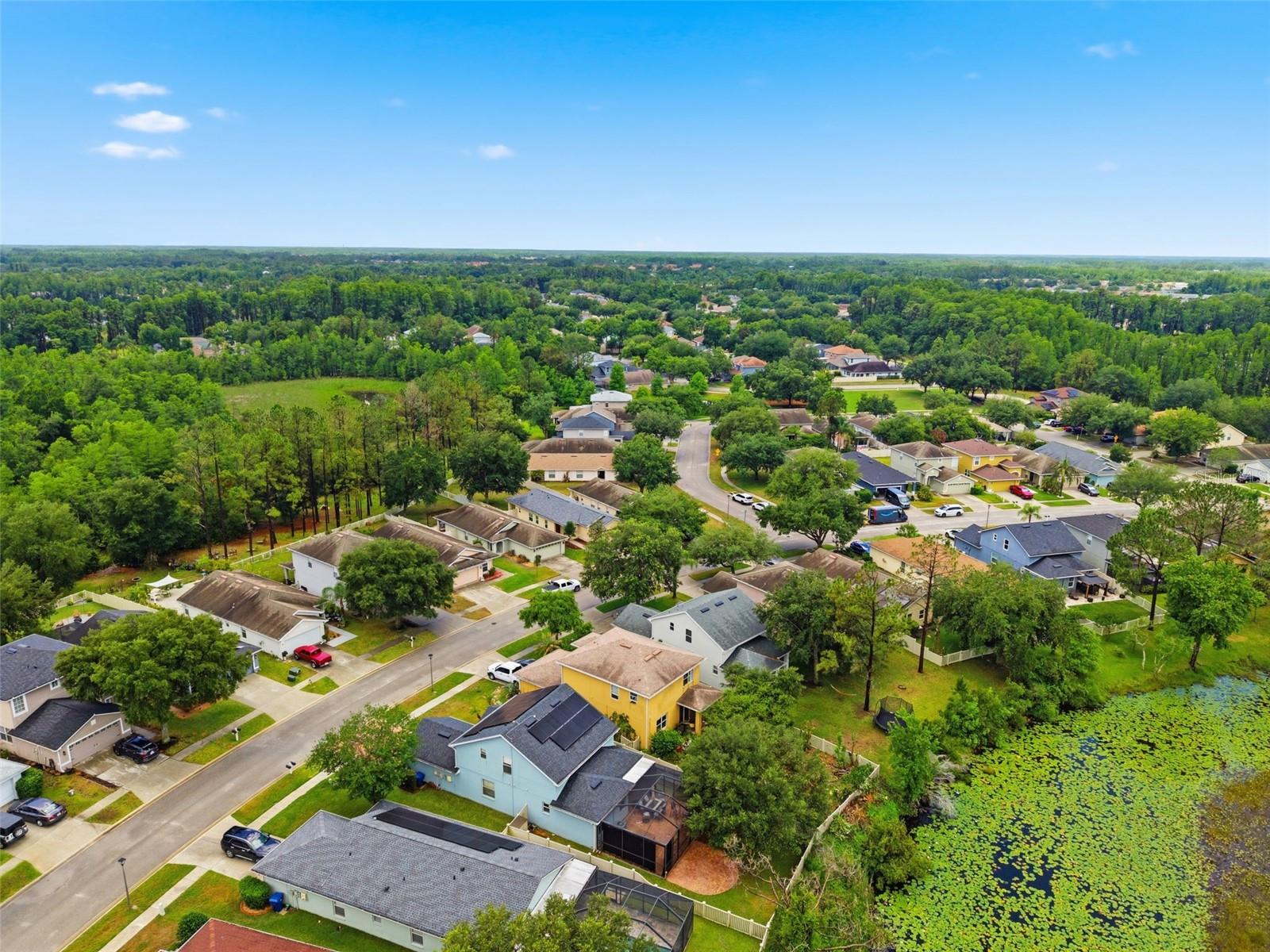 21347 MORNING MIST WAY, LAND O LAKES, FL, 34637