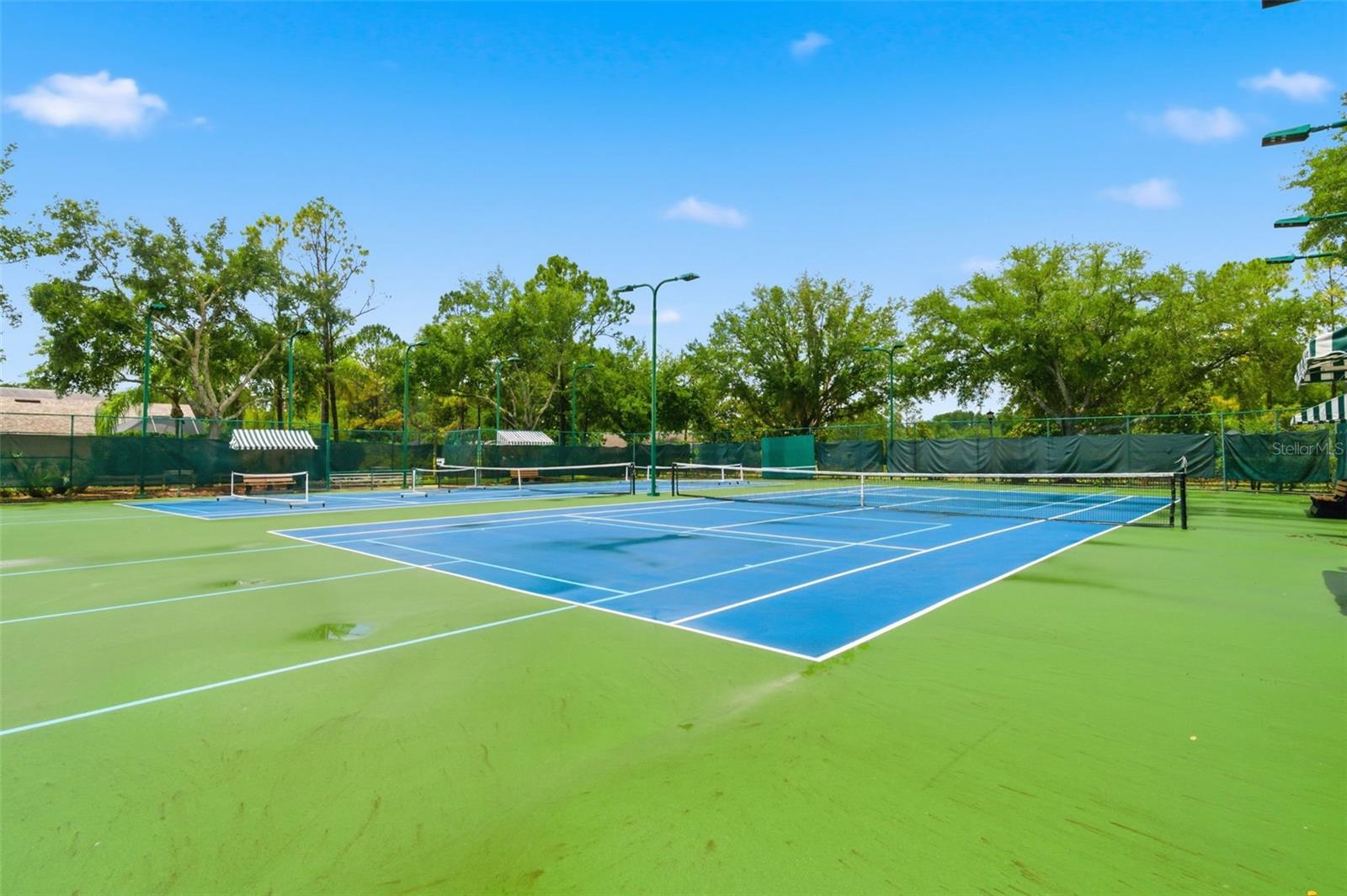 21347 MORNING MIST WAY, LAND O LAKES, FL, 34637