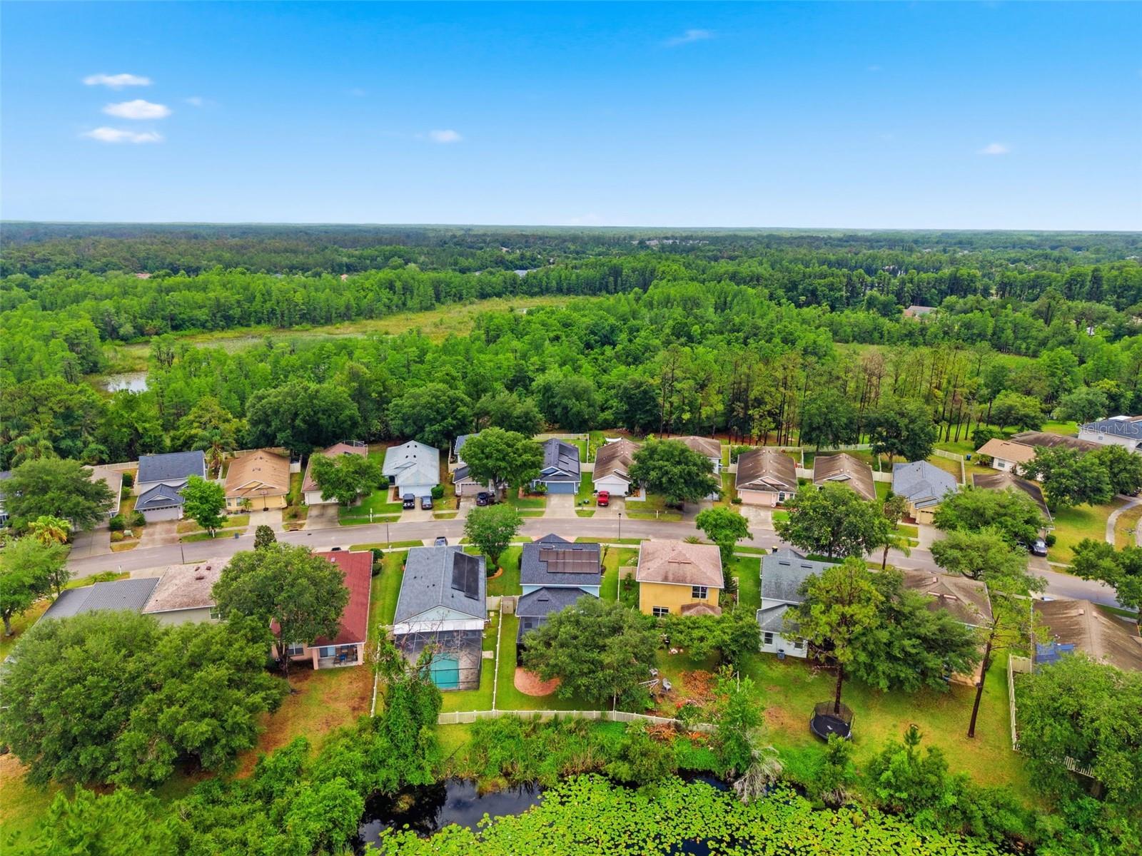 21347 MORNING MIST WAY, LAND O LAKES, FL, 34637