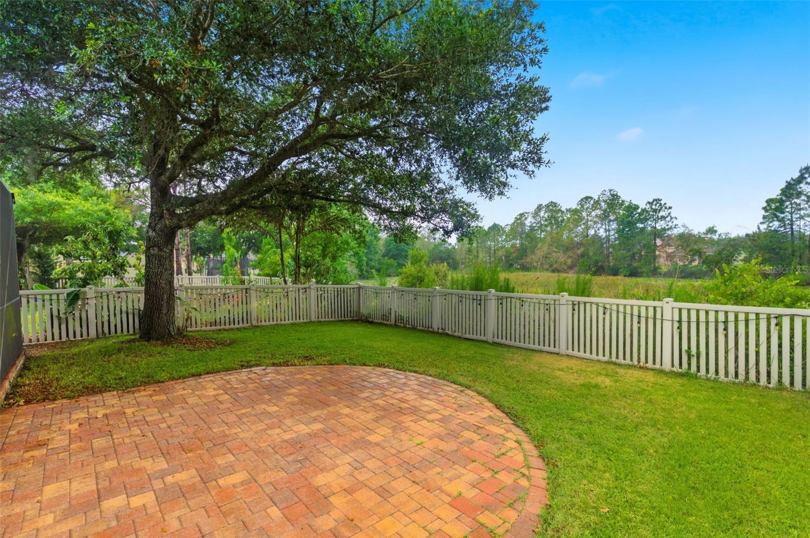 21347 MORNING MIST WAY, LAND O LAKES, FL, 34637