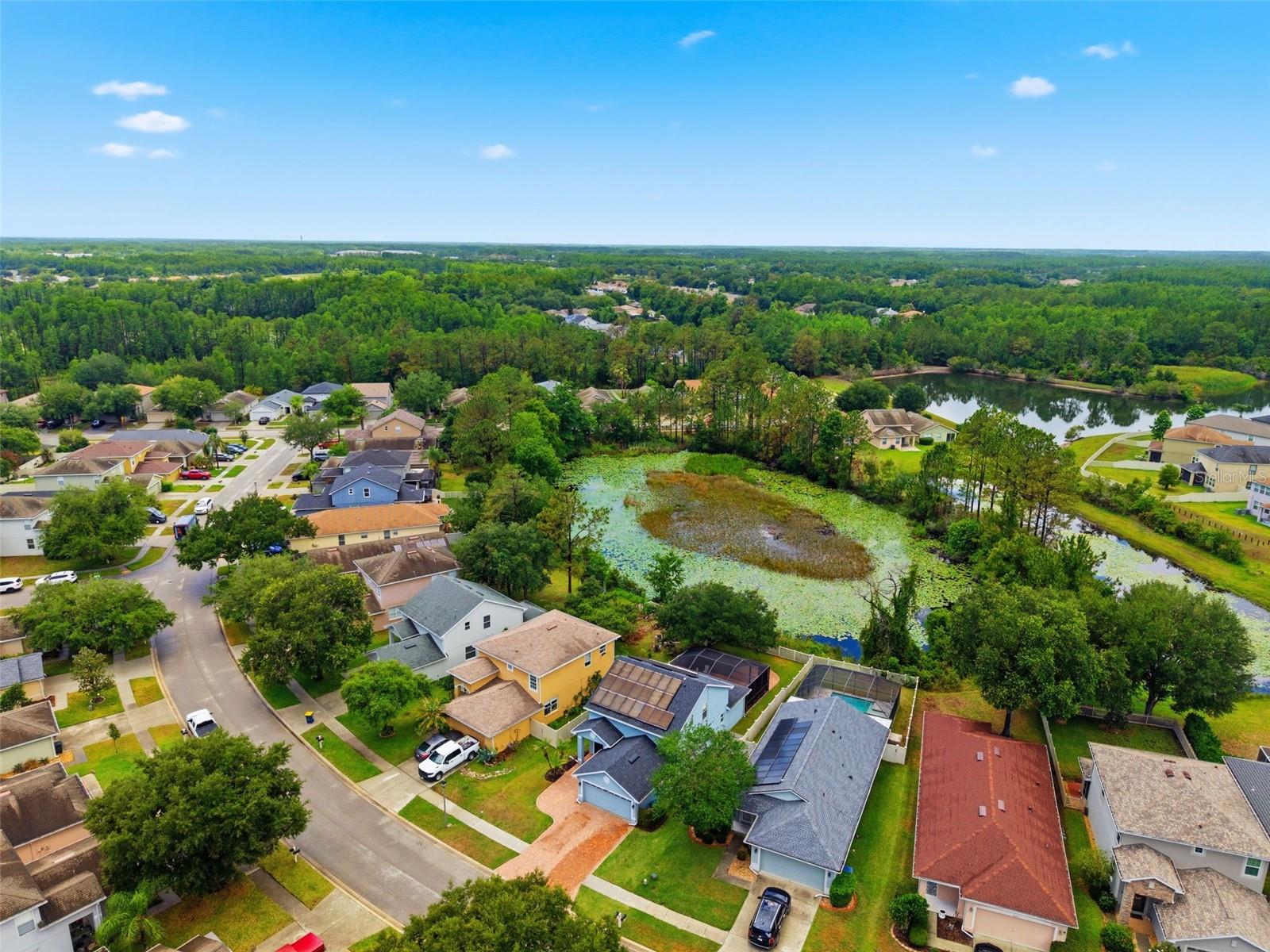 21347 MORNING MIST WAY, LAND O LAKES, FL, 34637