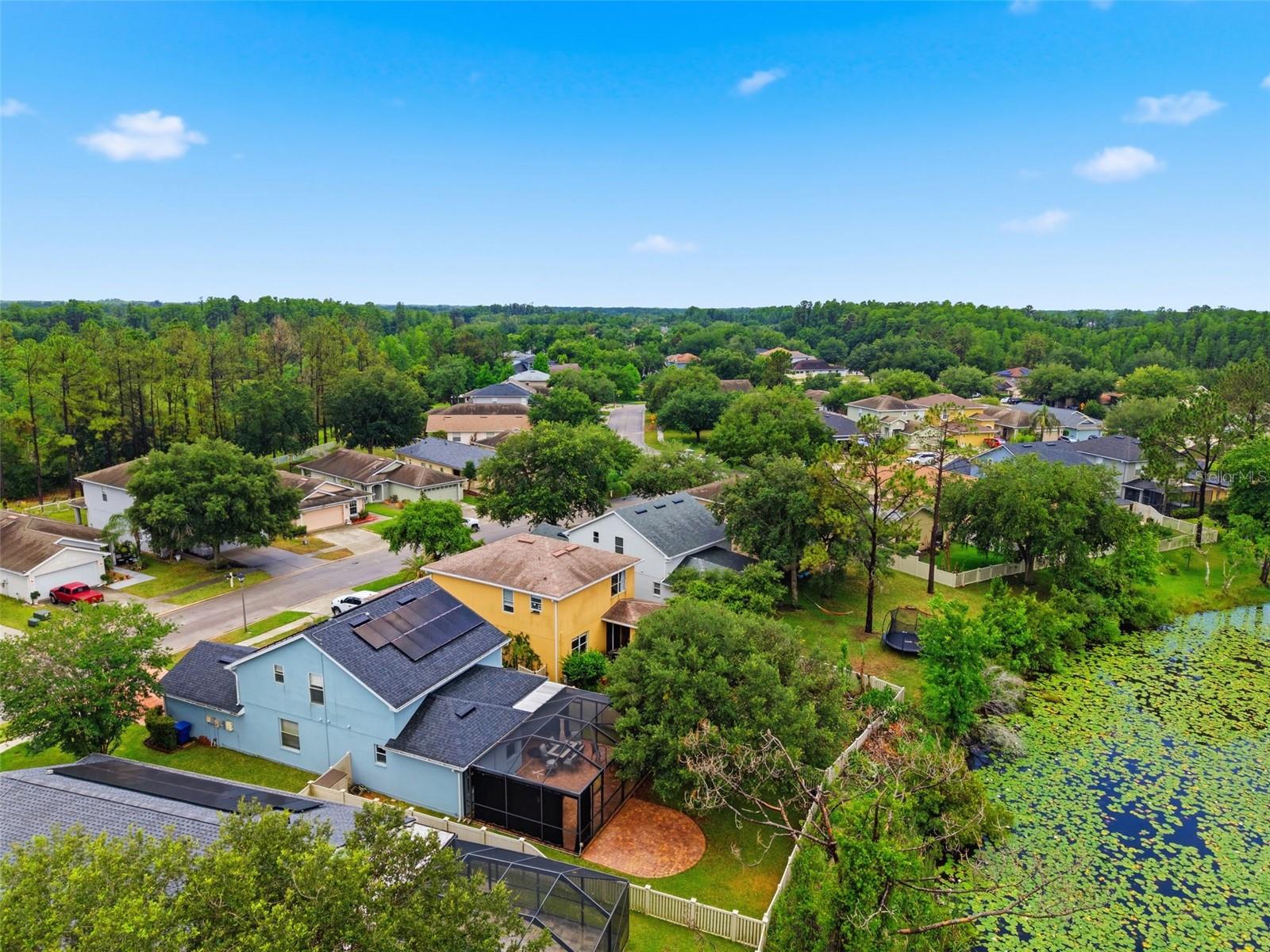 21347 MORNING MIST WAY, LAND O LAKES, FL, 34637