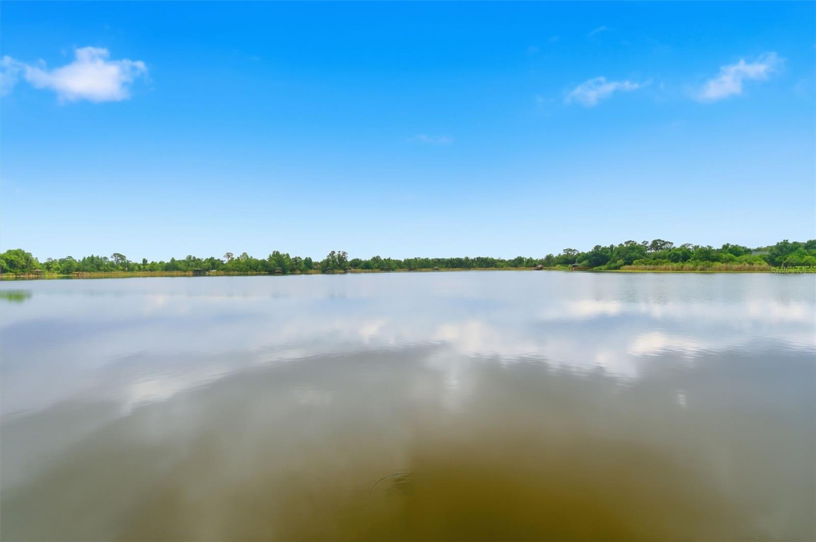21347 MORNING MIST WAY, LAND O LAKES, FL, 34637