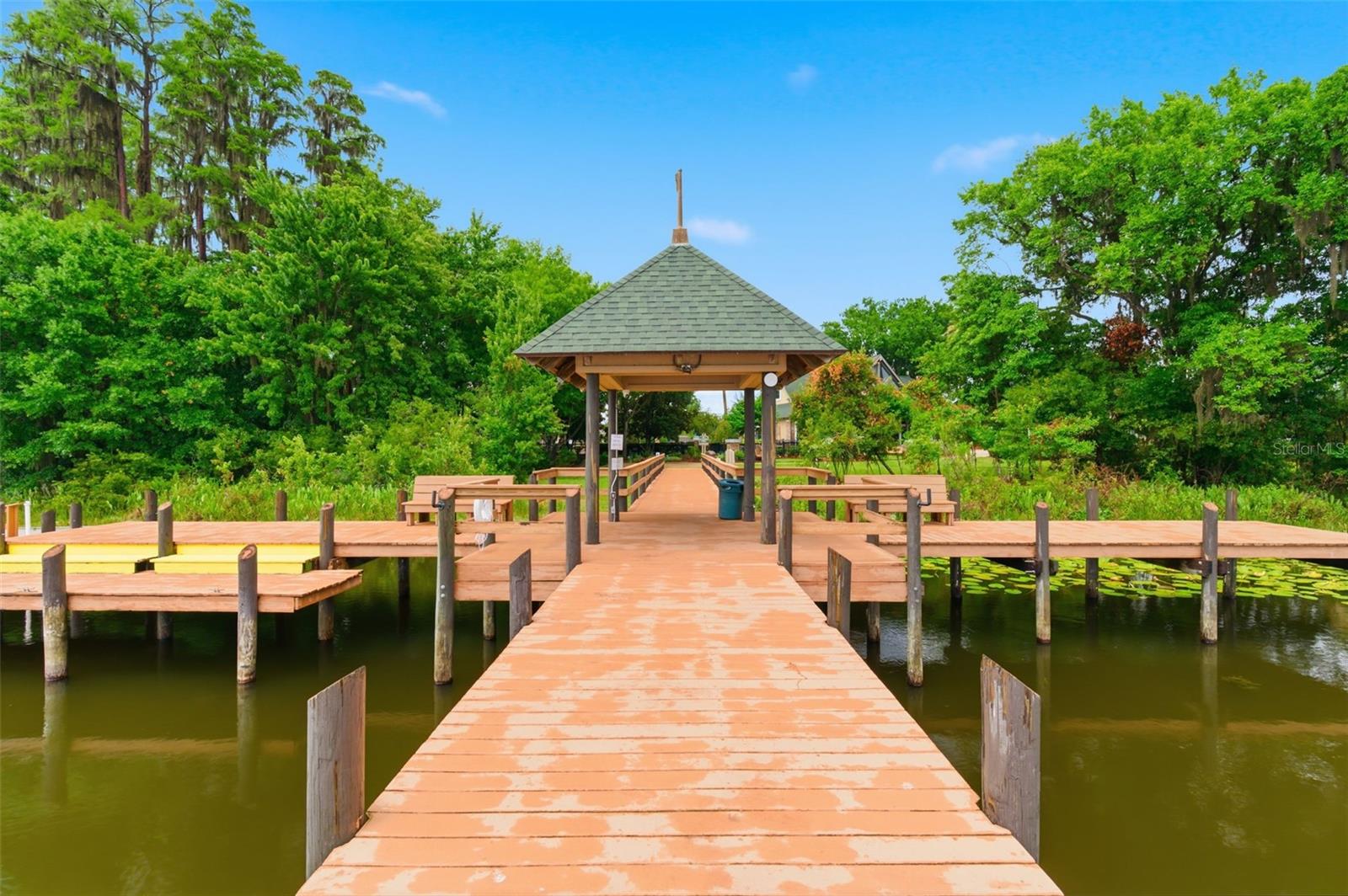 21347 MORNING MIST WAY, LAND O LAKES, FL, 34637