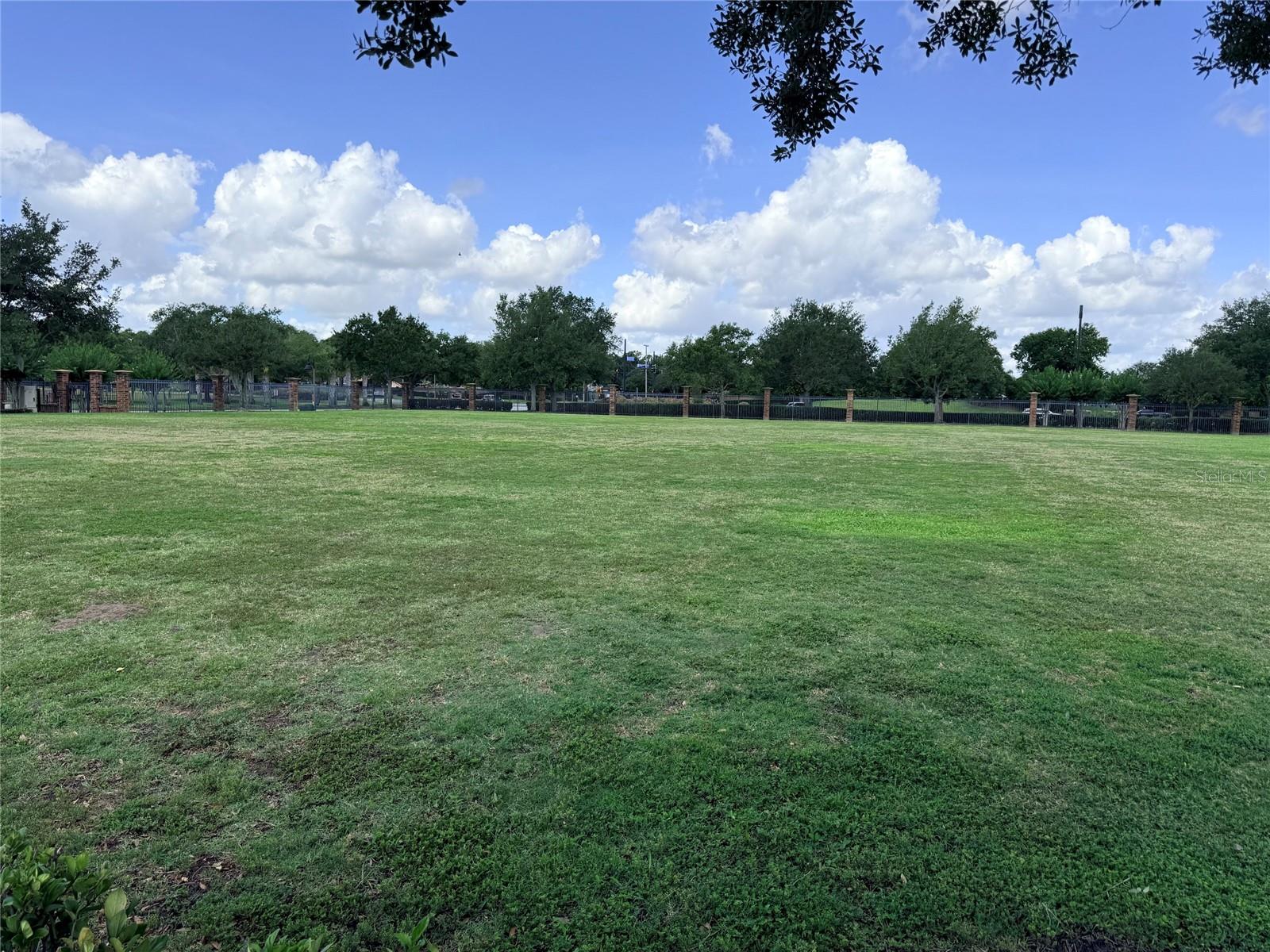 2084 WATER TUPELO WAY, OCOEE, FL, 34761