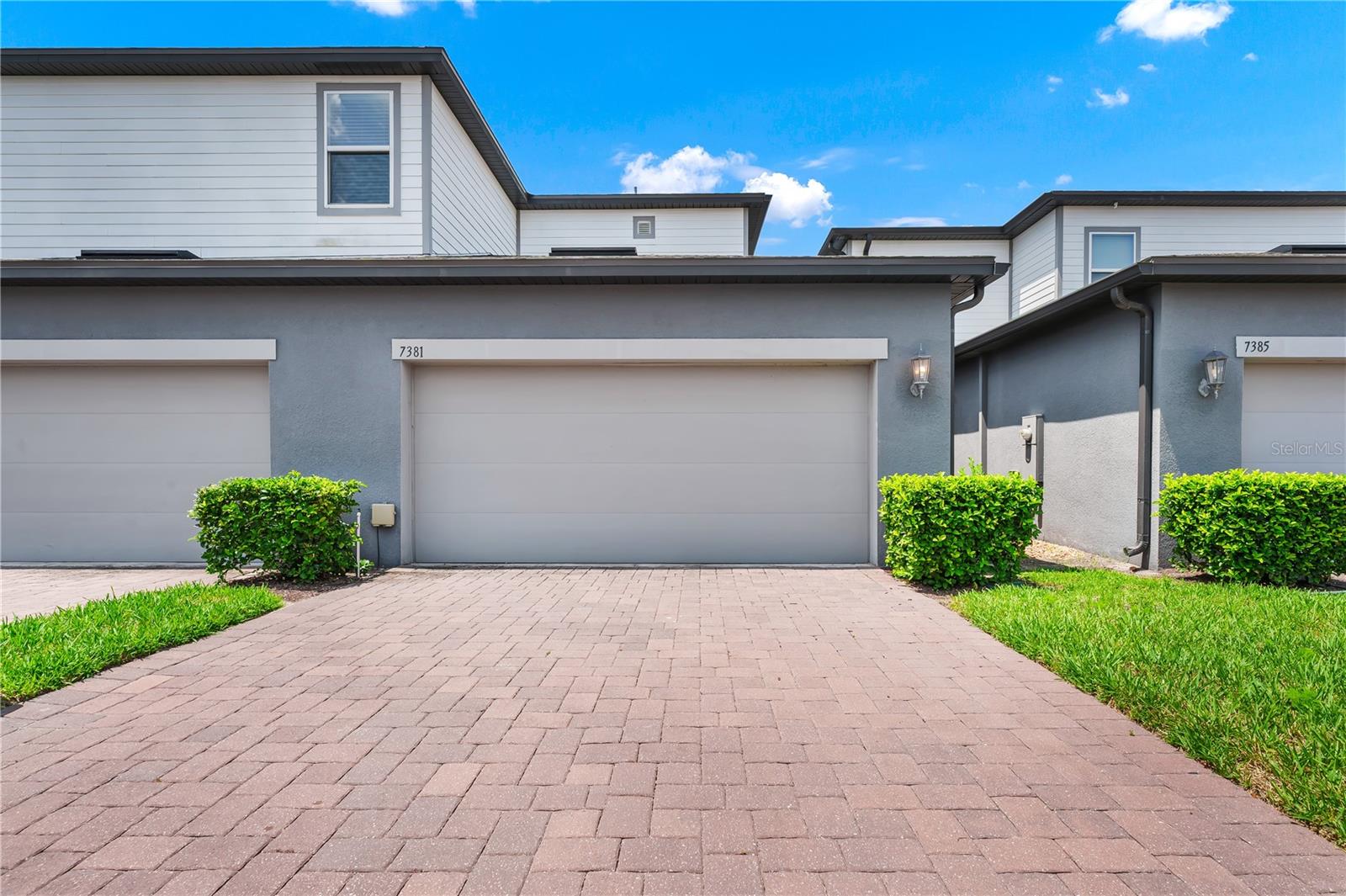 7381 ALPINE BUTTERFLY LN, ORLANDO, FL, 32819