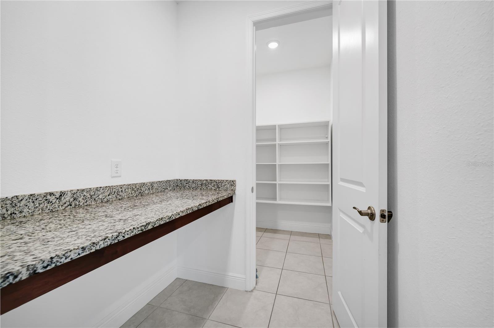 7381 ALPINE BUTTERFLY LN, ORLANDO, FL, 32819