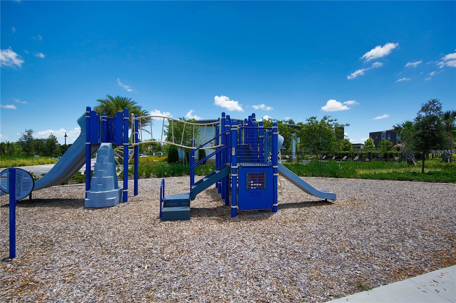 7381 ALPINE BUTTERFLY LN, ORLANDO, FL, 32819