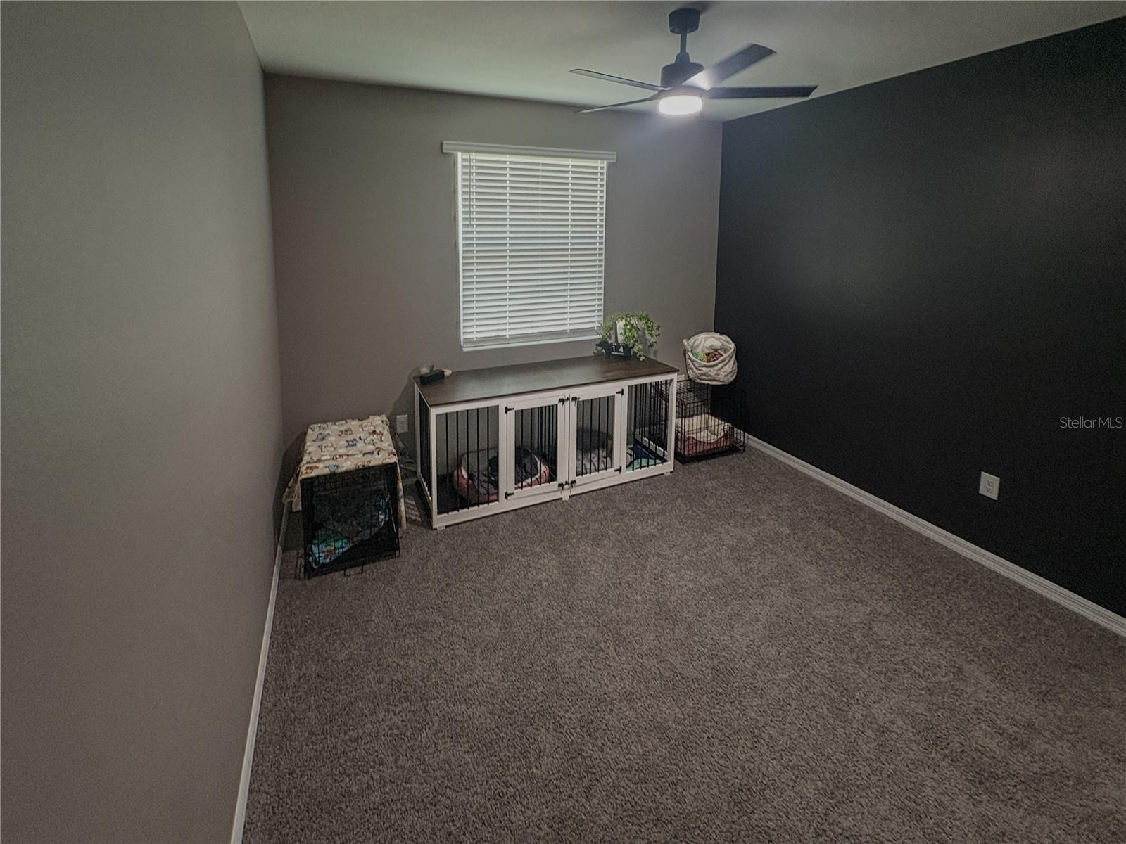 17940 NW 173RD RD, ALACHUA, FL, 32615