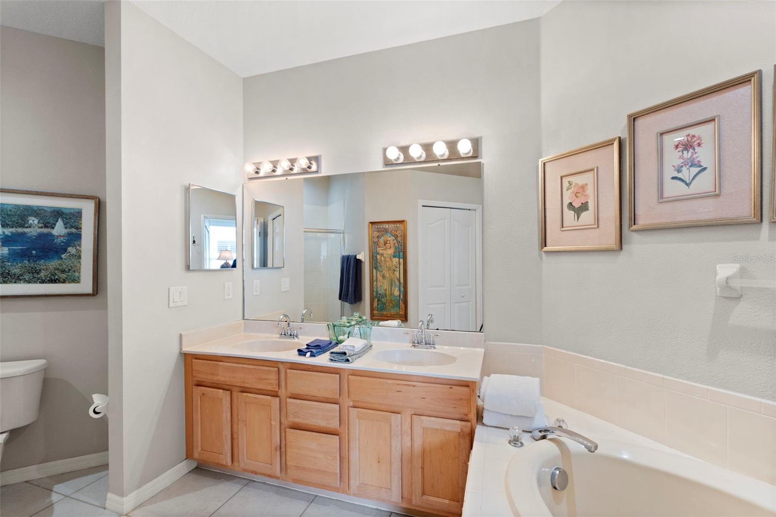 8557 ACORN RIDGE CT, TAMPA, FL, 33625
