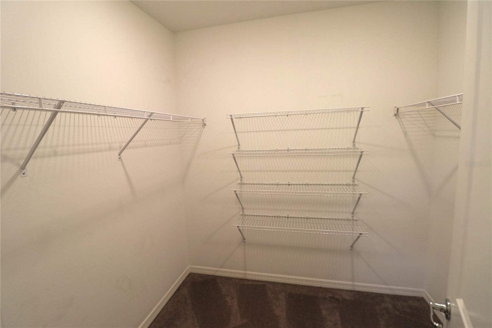 4006 CAPRI COAST DR, PLANT CITY, FL, 33565