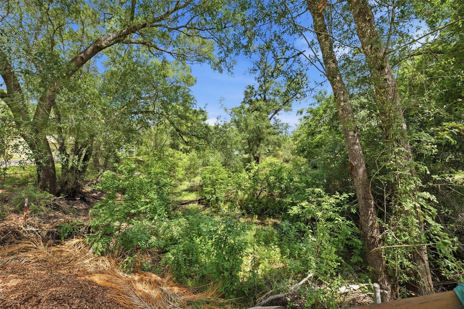 3183 CEDLEY RD, DADE CITY, FL, 33523