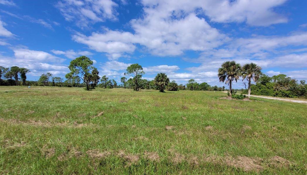 13111 BLUE MARLIN RD, PLACIDA, FL, 33946