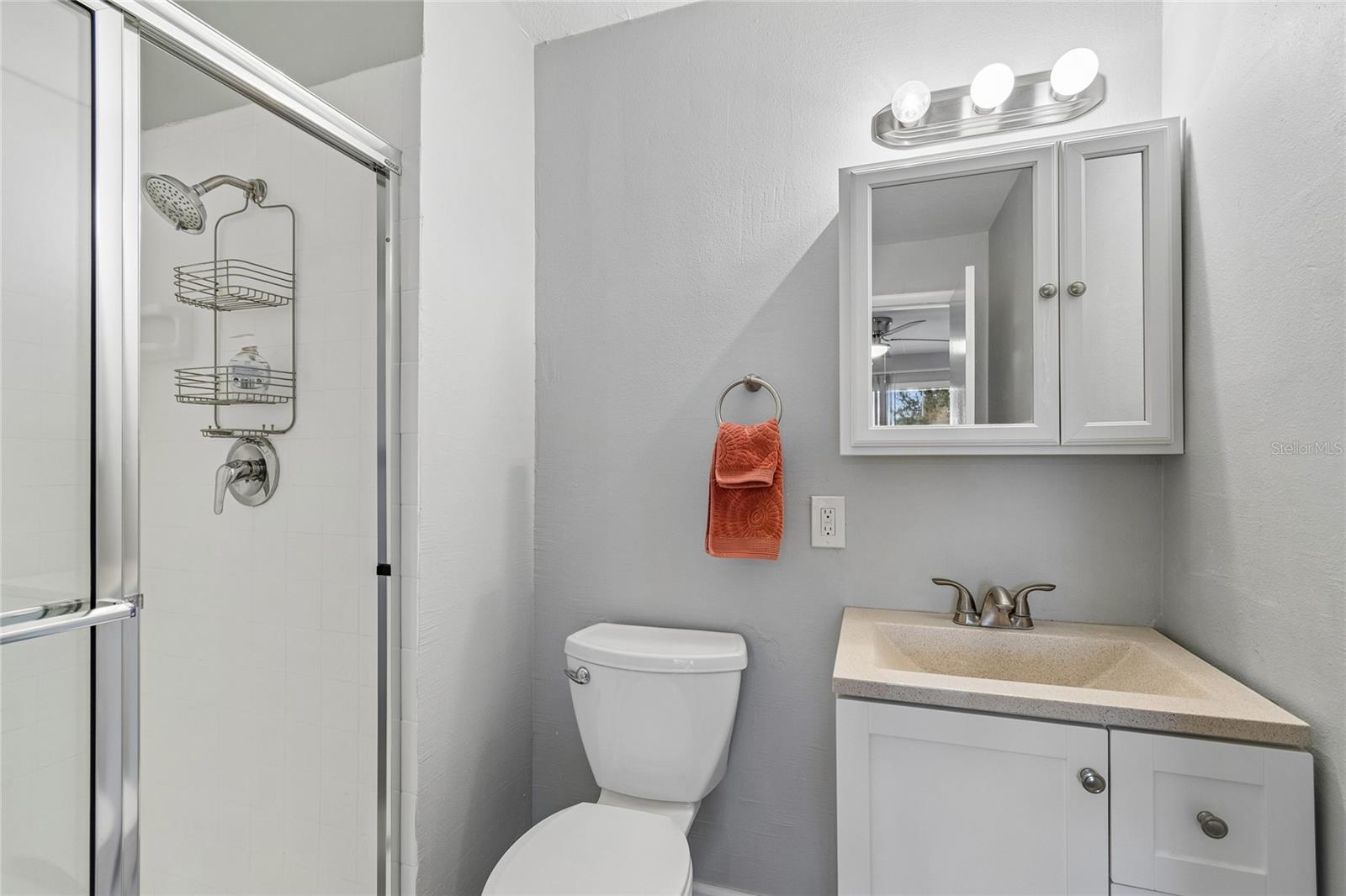 7324 STONE HAVEN CT N, PINELLAS PARK, FL, 33781