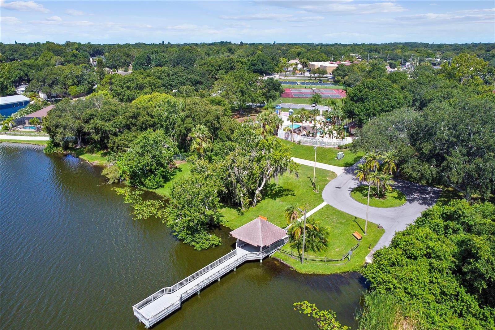 2803 NORTHCOTE DR, PALM HARBOR, FL, 34684
